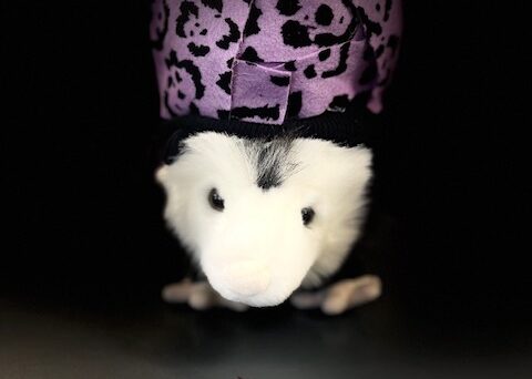 Y-Rat_Hat_Ecomaine_Upcycle_Katie Reynoso_Youth